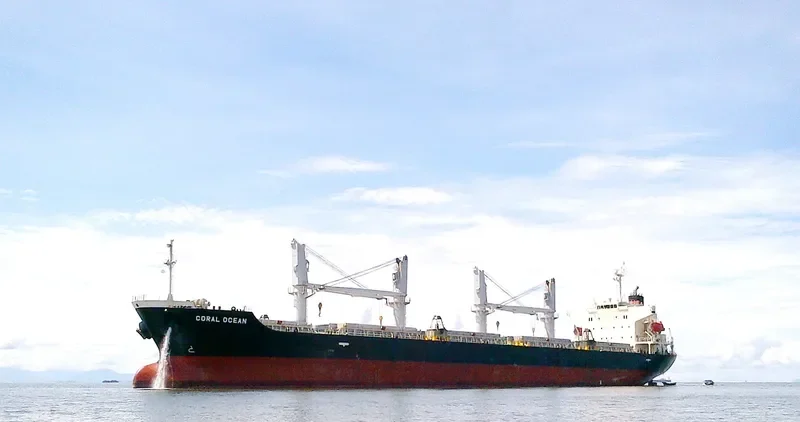 ORCUN C Bulk Carrier IMO 9499436