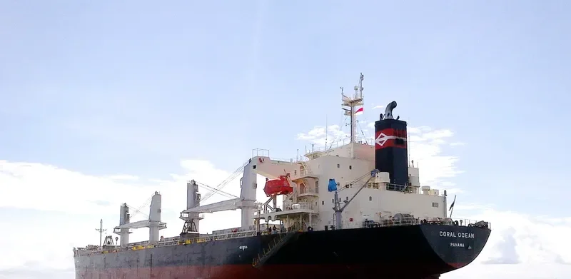 ORCUN C Bulk Carrier IMO 9499436 photo 4