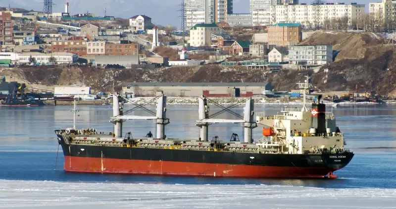 ORCUN C Bulk Carrier IMO 9499436 photo 8