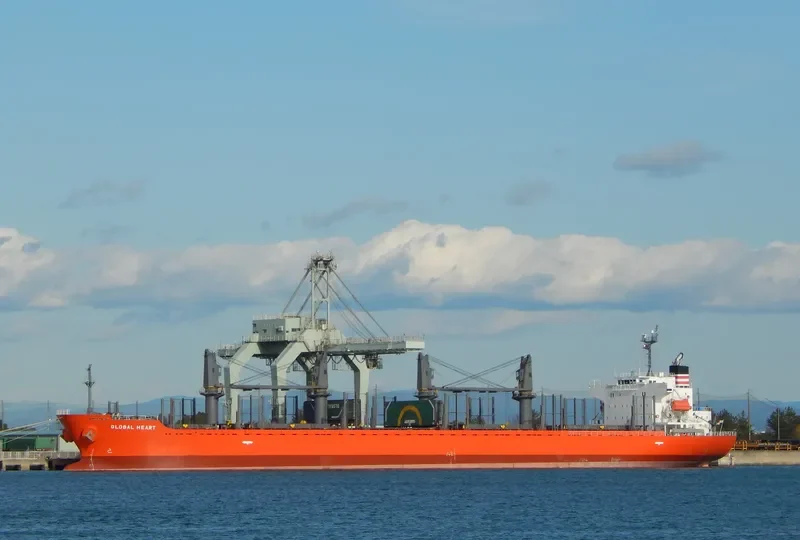 OBE HEART Bulk Carrier IMO 9499448 photo 7