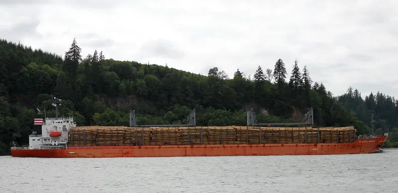 OBE HEART Bulk Carrier IMO 9499448 photo 10