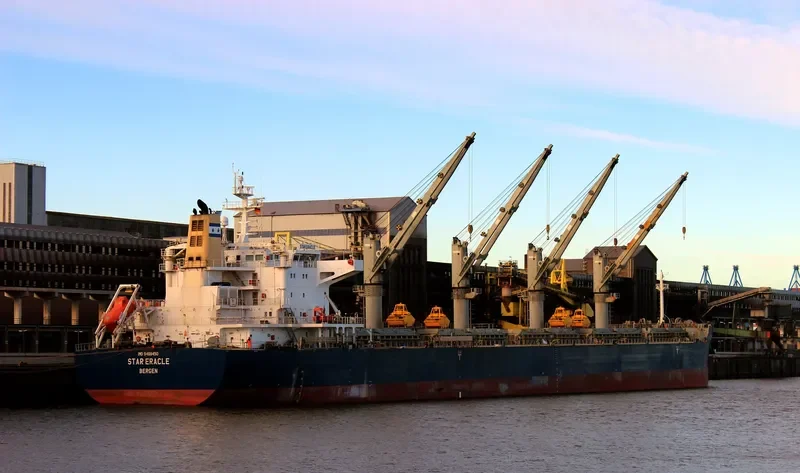 STAR ERACLE Bulk Carrier IMO 9499450 photo 7