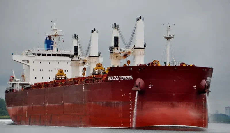ENDLESS HORIZON Bulk Carrier IMO 9499462 photo 3