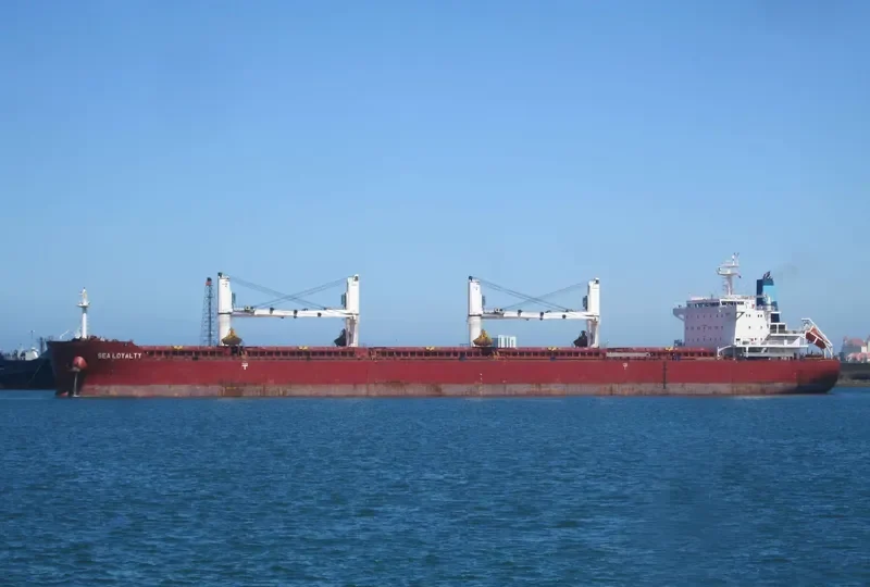 ENDLESS HORIZON Bulk Carrier IMO 9499462 photo 5