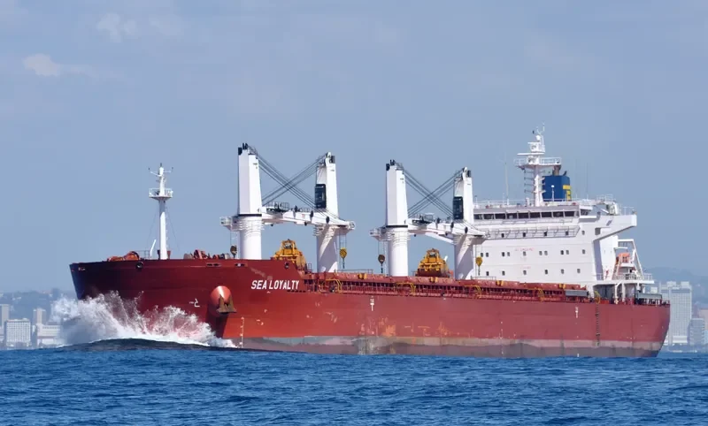 ENDLESS HORIZON Bulk Carrier IMO 9499462 photo 6