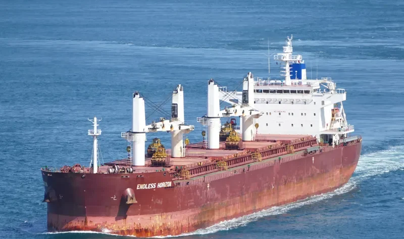 ENDLESS HORIZON Bulk Carrier IMO 9499462 photo 9