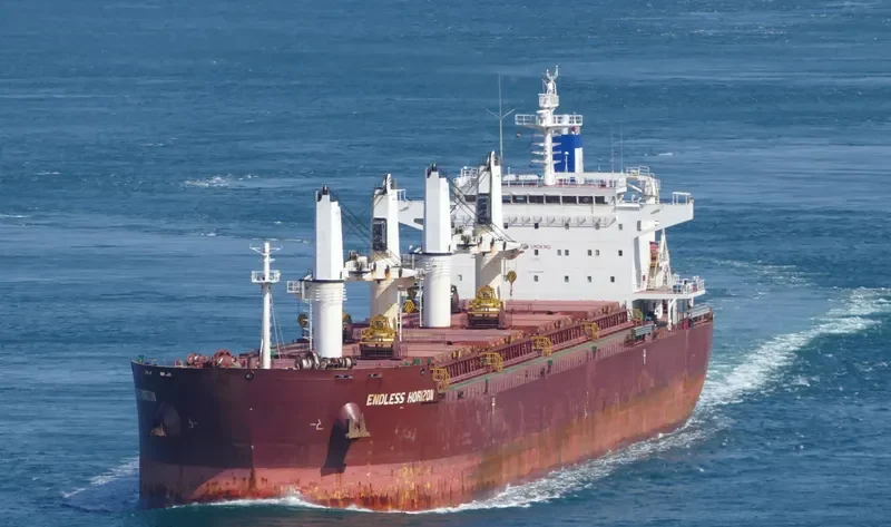 ENDLESS HORIZON Bulk Carrier IMO 9499462 photo 10