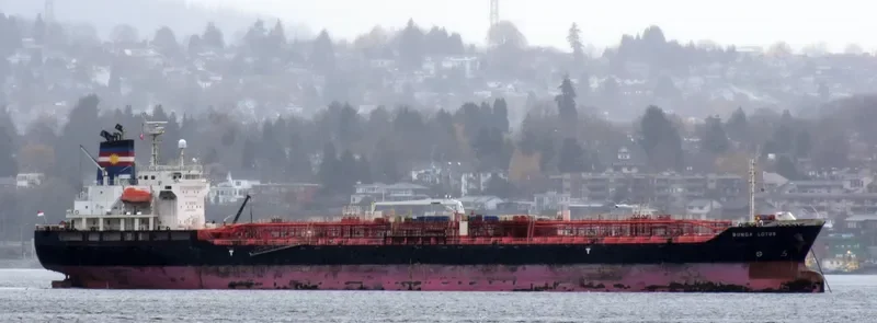 OPEC VICTORY Tanker IMO 9499486 photo 6