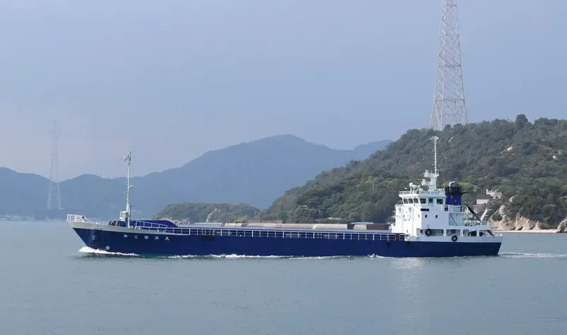 SHOYO MARU NO.3 General Cargo IMO 9499527 photo 8
