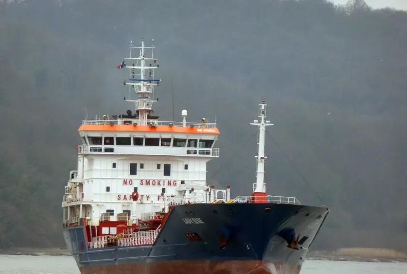 T.LEYLA Tanker IMO 9499553 photo 9