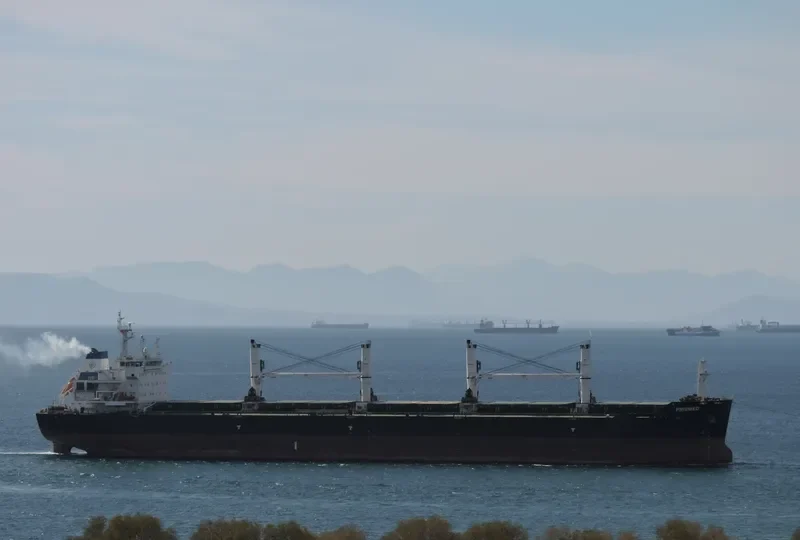 CN JOURNEY Bulk Carrier IMO 9499618 photo 3
