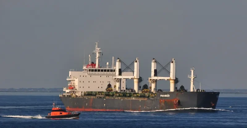 CN JOURNEY Bulk Carrier IMO 9499618 photo 8