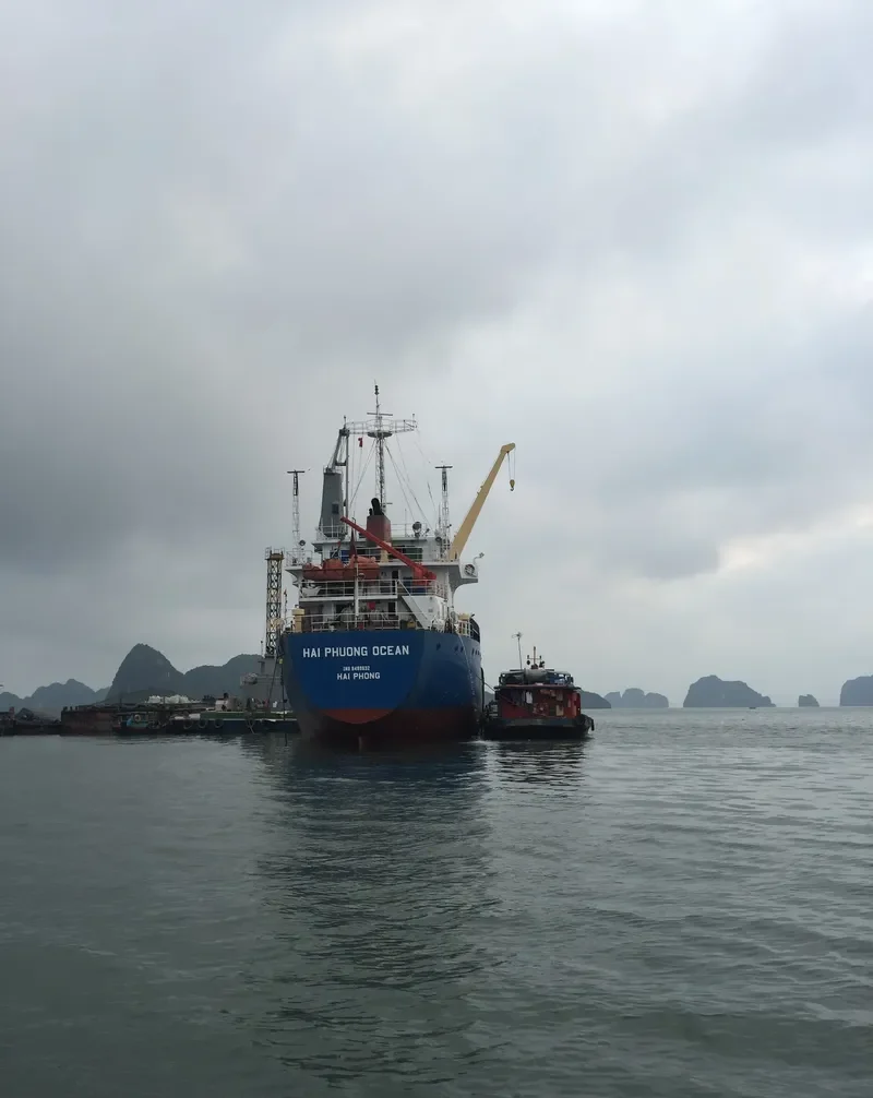 HAI PHUONG OCEAN General Cargo IMO 9499632 photo 2