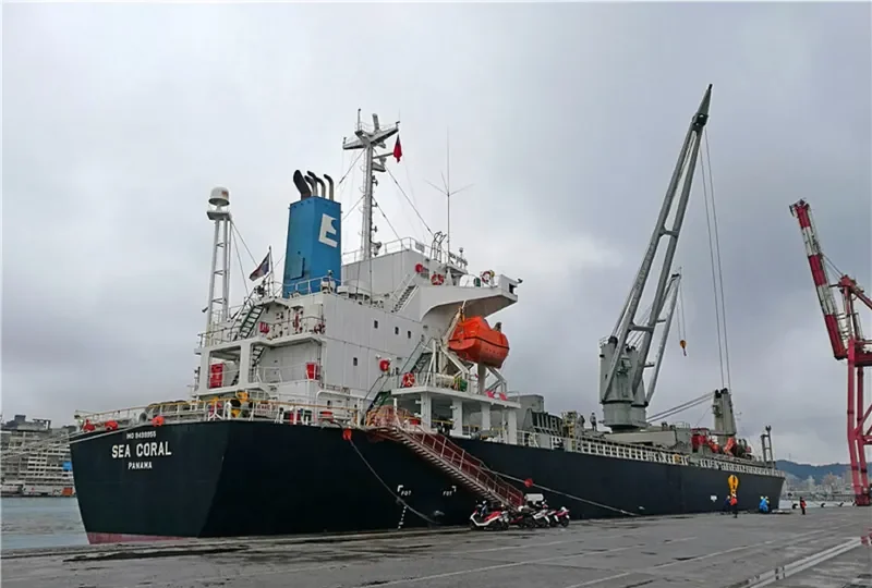 SEA CORAL General Cargo IMO 9499955 photo 7