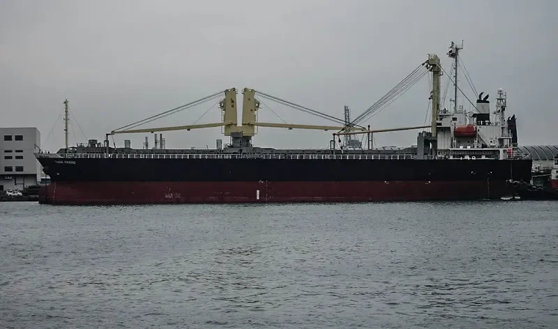 THOR FRIEND General Cargo IMO 9499967