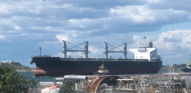 BULK ORION Bulk Carrier IMO 9500039 photo 3