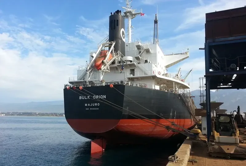 BULK ORION Bulk Carrier IMO 9500039 photo 8
