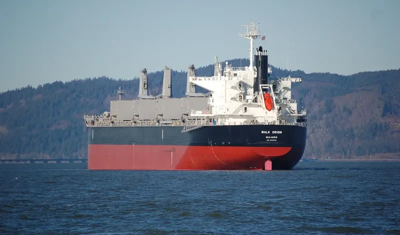 BULK ORION Bulk Carrier IMO 9500039 photo 10