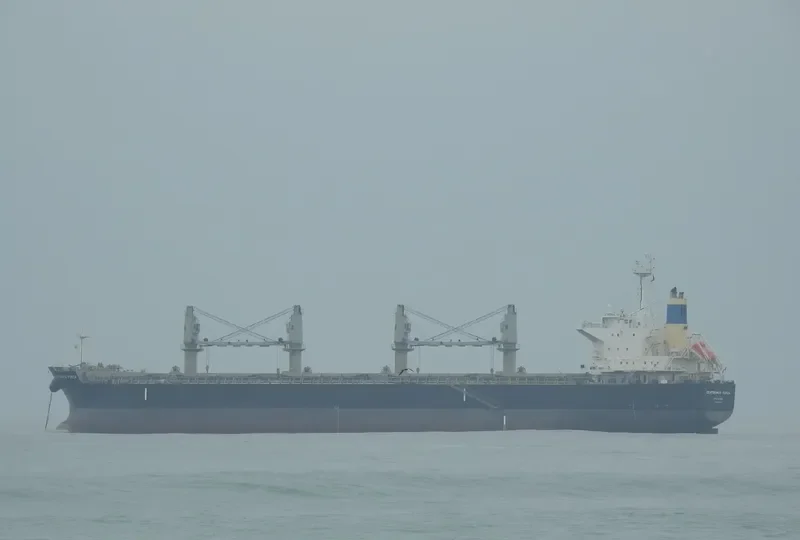 CENTENARIO FORZA Bulk Carrier IMO 9500041 photo 2