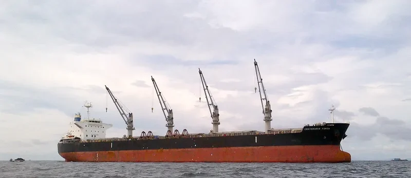 CENTENARIO FORZA Bulk Carrier IMO 9500041 photo 6
