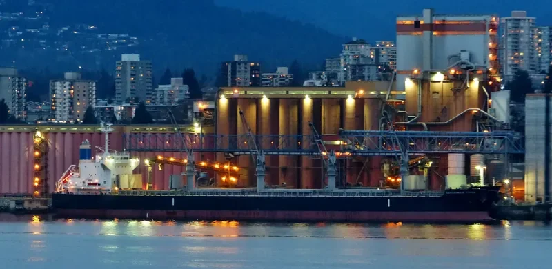 CENTENARIO FORZA Bulk Carrier IMO 9500041 photo 7
