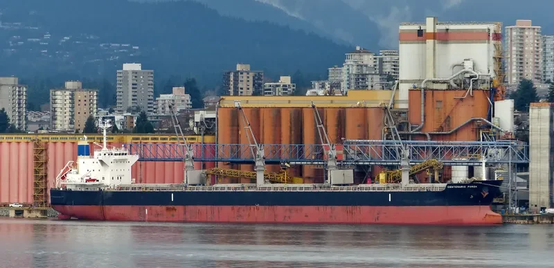 CENTENARIO FORZA Bulk Carrier IMO 9500041 photo 8