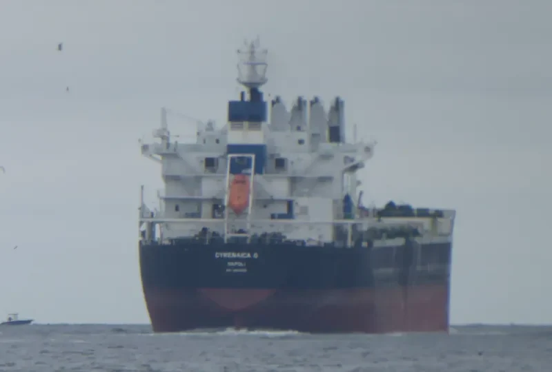 CLIPPER BRUNELLO Bulk Carrier IMO 9500106