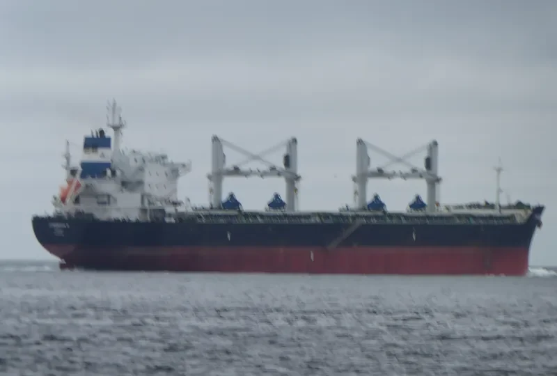 CLIPPER BRUNELLO Bulk Carrier IMO 9500106 photo 2