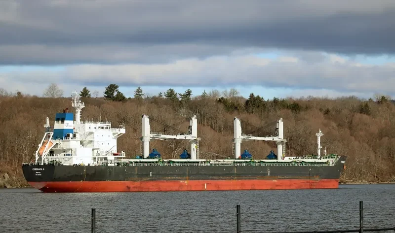 CLIPPER BRUNELLO Bulk Carrier IMO 9500106 photo 3