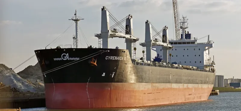 CLIPPER BRUNELLO Bulk Carrier IMO 9500106 photo 9