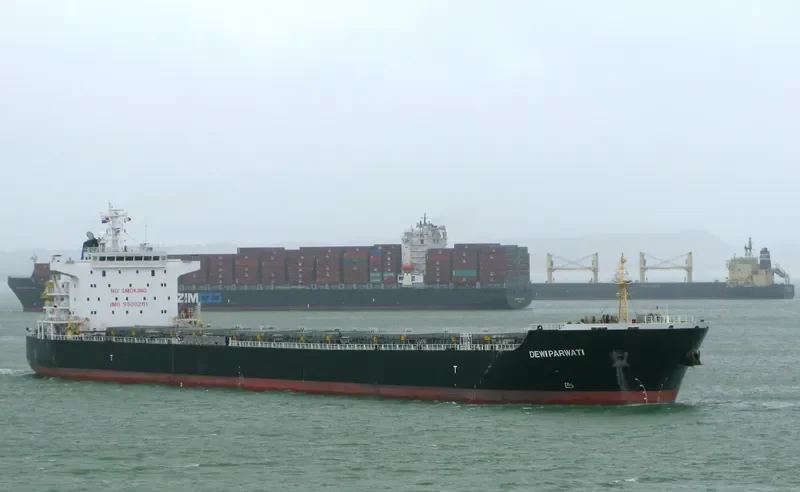 PRINCESS GRACE Bulk Carrier IMO 9500261 photo 2