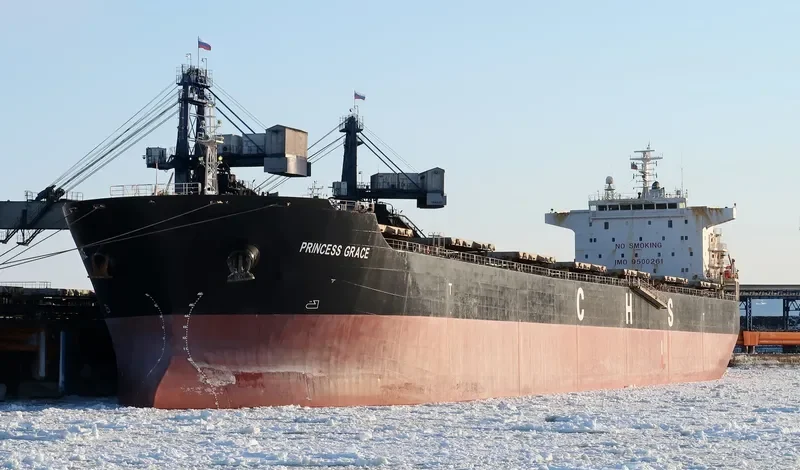 PRINCESS GRACE Bulk Carrier IMO 9500261 photo 3