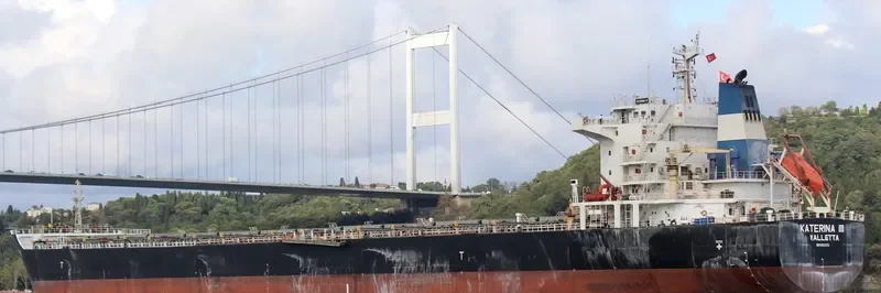 KATERINA III Bulk Carrier IMO 9500273 photo 2