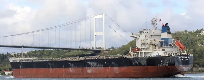 KATERINA III Bulk Carrier IMO 9500273 photo 3