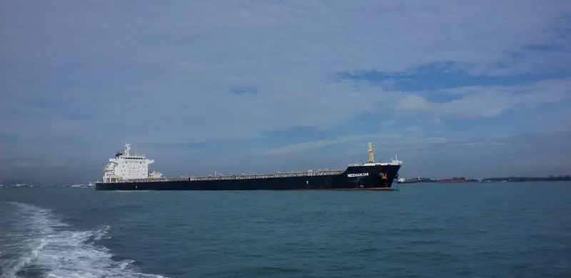 CHANDRA KIRANA Bulk Carrier IMO 9500285 photo 2