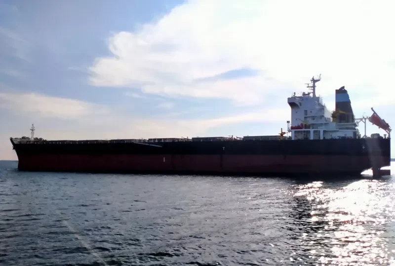 CHANDRA KIRANA Bulk Carrier IMO 9500285 photo 7