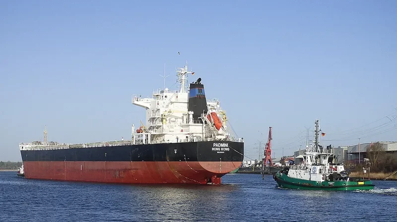 AGIA YPOMONI Bulk Carrier IMO 9500297 photo 2