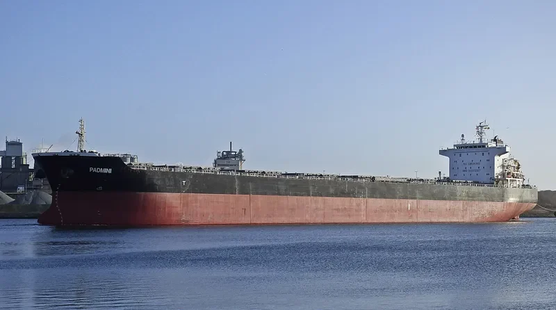 AGIA YPOMONI Bulk Carrier IMO 9500297 photo 3