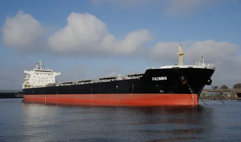 AGIA YPOMONI Bulk Carrier IMO 9500297 photo 6