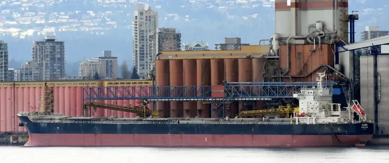 AGIA YPOMONI Bulk Carrier IMO 9500297 photo 10