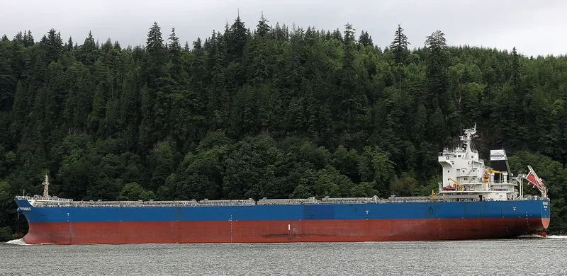 SHAO SHAN 5 Bulk Carrier IMO 9500302 photo 2