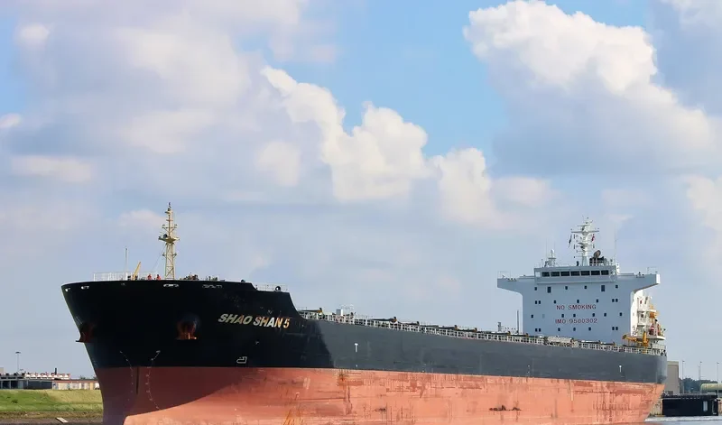 SHAO SHAN 5 Bulk Carrier IMO 9500302 photo 3