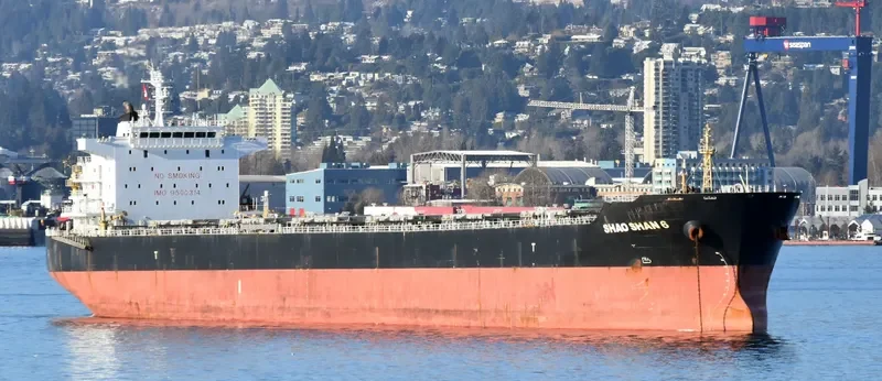 SHAO SHAN 6 Bulk Carrier IMO 9500314 photo 5