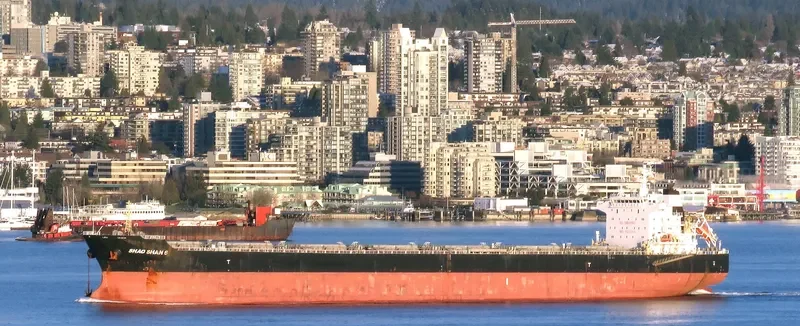 SHAO SHAN 6 Bulk Carrier IMO 9500314 photo 6