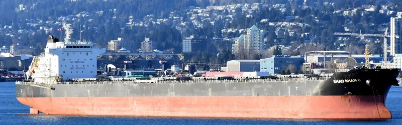 SHAO SHAN 6 Bulk Carrier IMO 9500314 photo 7