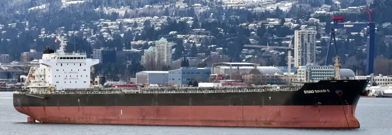 SHAO SHAN 6 Bulk Carrier IMO 9500314 photo 9