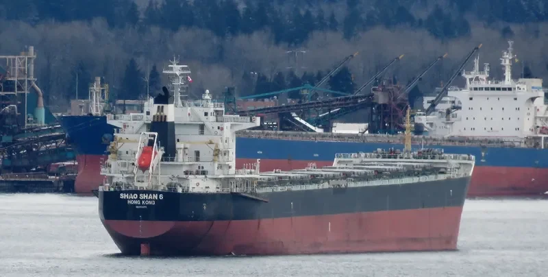 SHAO SHAN 6 Bulk Carrier IMO 9500314 photo 10