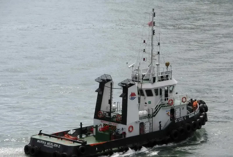 MARINA MERLION 2 General Cargo IMO 9500479 photo 4