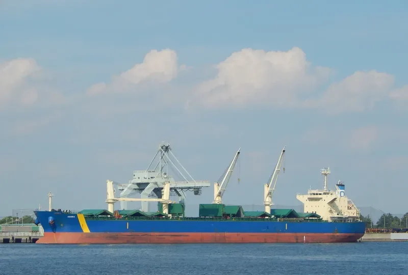 ANIMA Bulk Carrier IMO 9500584