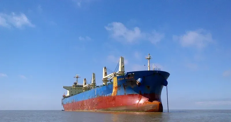 ANIMA Bulk Carrier IMO 9500584 photo 2